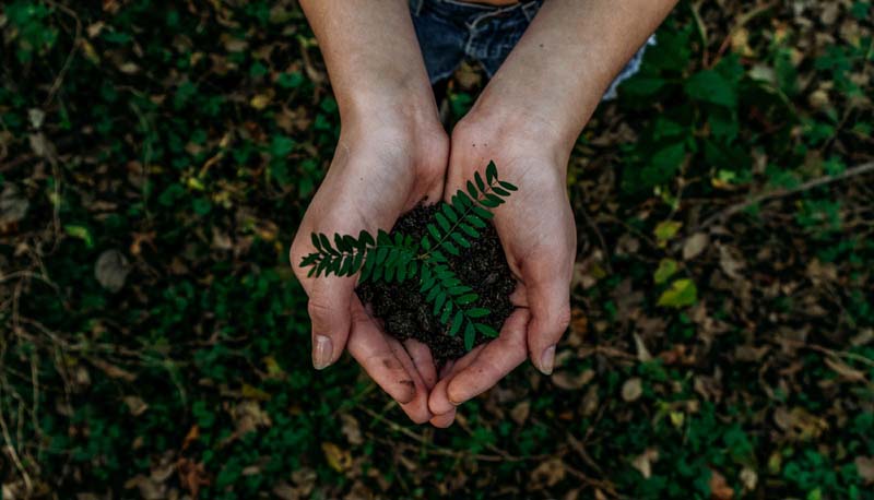 SAP sustainability